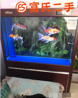 鱼缸水族箱出售