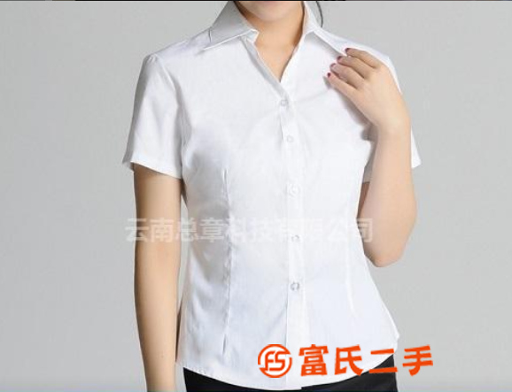 临沧女士短袖衬衫-总章服饰私人定制(查看)