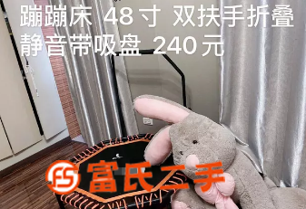 健身蹦蹦床  240元