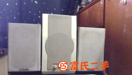 奇声牌耐用大音量木质书架音箱，另送图中间的低音炮