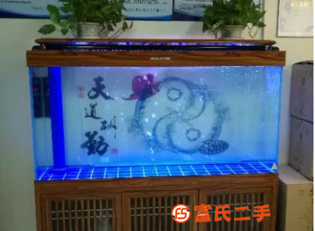 风水鱼缸金鱼缸水族箱不是中医院旁花鸟市场三市古玩城