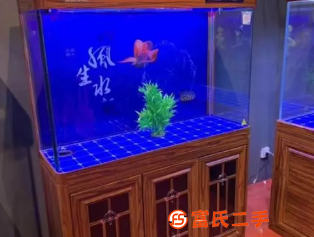 宁波维修鱼缸水族箱护理上门维护洗鱼缸换水