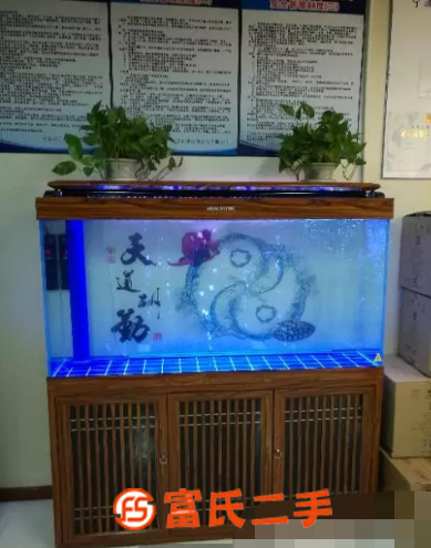 风水鱼缸金鱼缸水族箱不是中医院旁花鸟市场三市古玩城