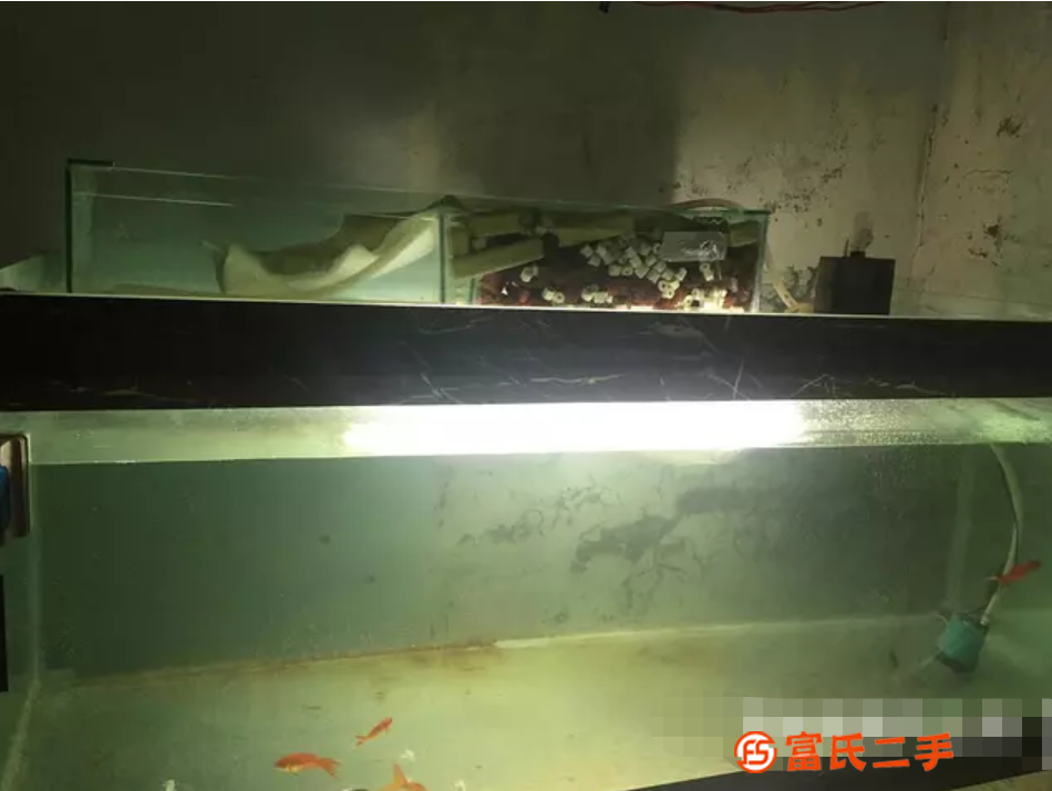 鱼缸水族箱处理