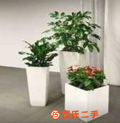 西安花卉绿植公司哪家服务好？就找西安碧盛花卉公司