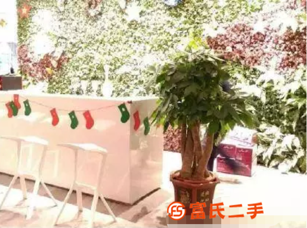 鲜花盆景 活动会议用花、开业花篮、盆栽绿植，婚庆