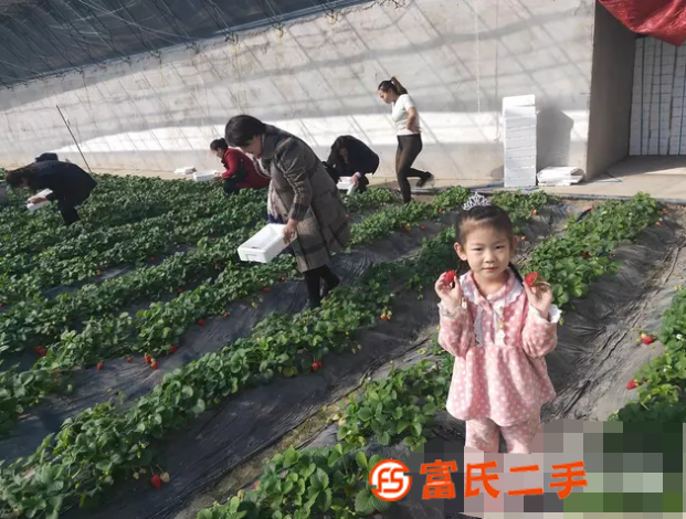 七里海湿地公园团队旅游服务推荐