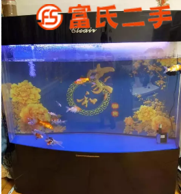 优质鱼缸低价出售  1000元